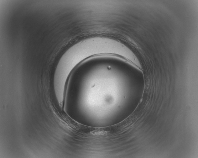 X0000073490452200608140846