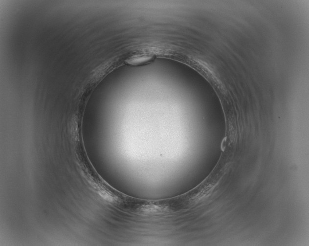 X0000073490453200608140846