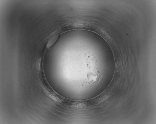 X0000073490454200608140846