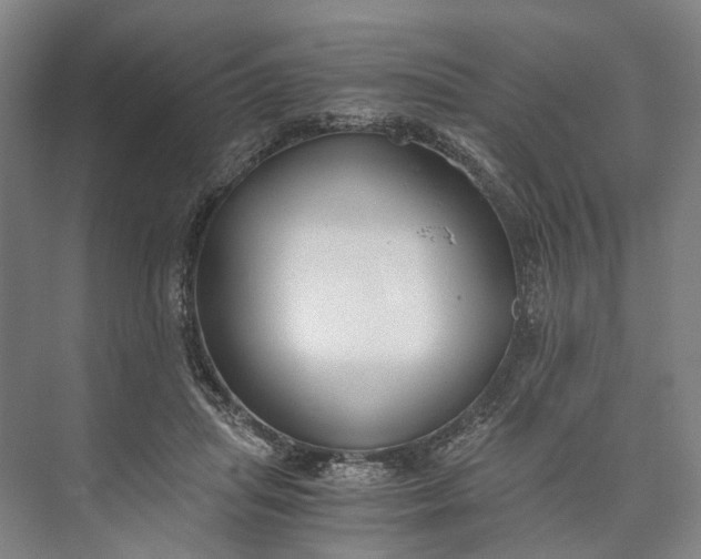 X0000073490455200608140846