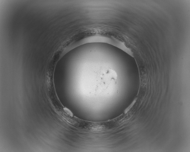 X0000073490456200608140846