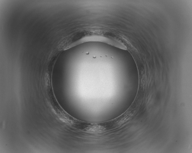 X0000073490459200608140846