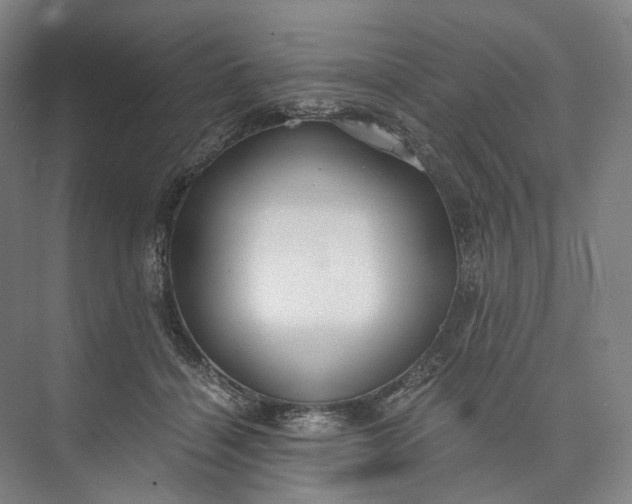 X0000073490460200608140846