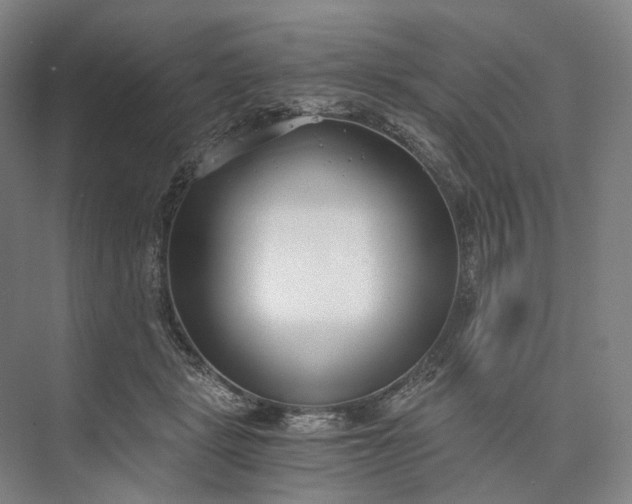 X0000073490461200608140846