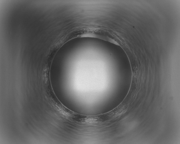 X0000073490462200608140846