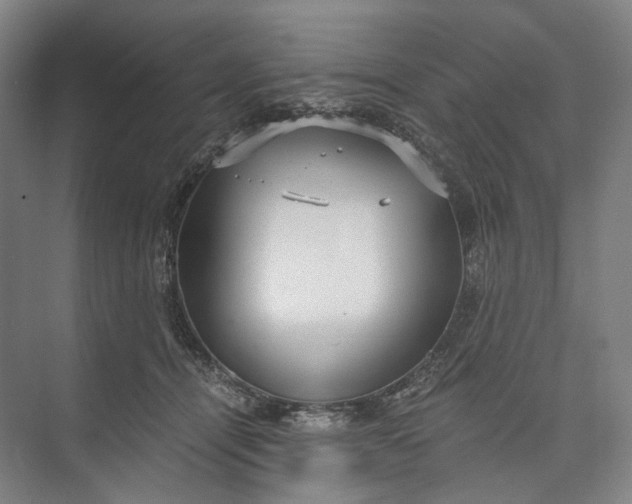 X0000073490464200608140847