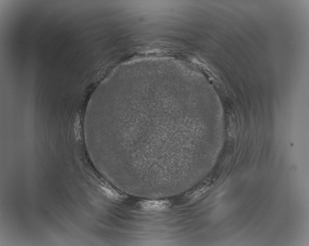 X0000073490465200608140847