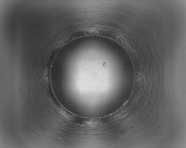 X0000073490466200608140847