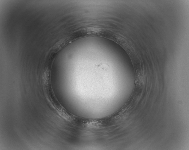 X0000073490468200608140847