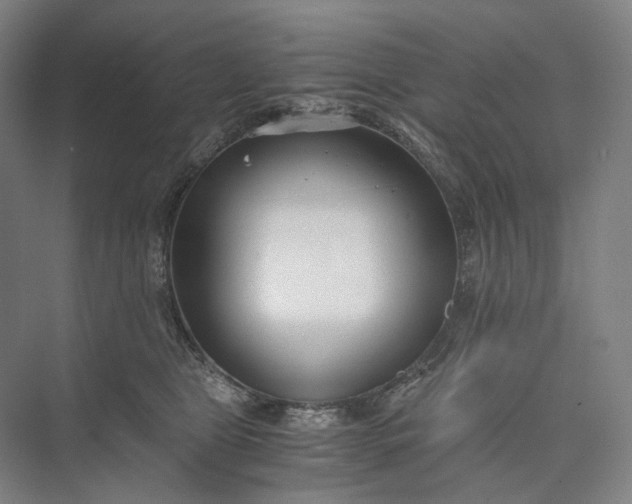 X0000073490469200608140847