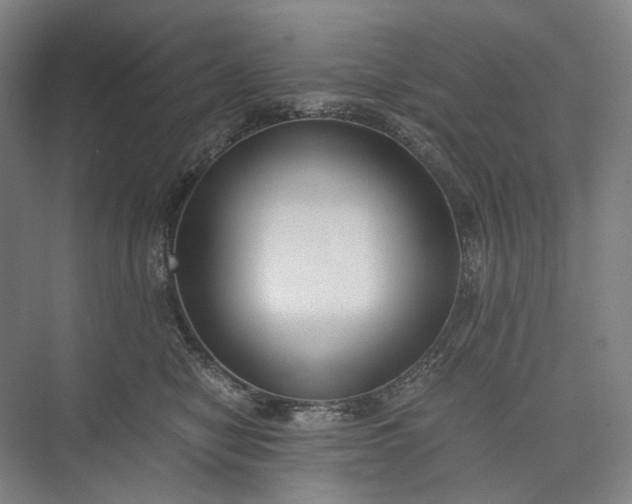 X0000073490470200608140847