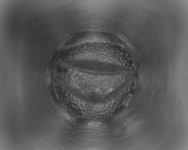 X0000073490471200608140847