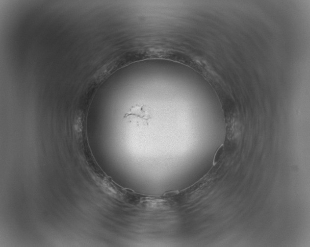 X0000073490472200608140847