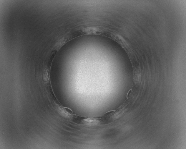 X0000073490477200608140847