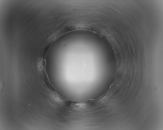 X0000073490478200608140847