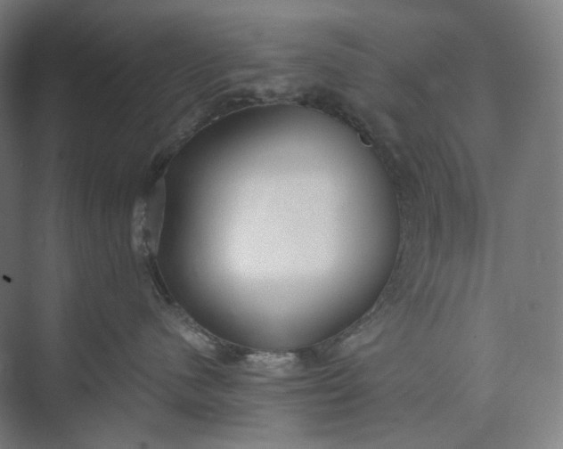 X0000073490480200608140847