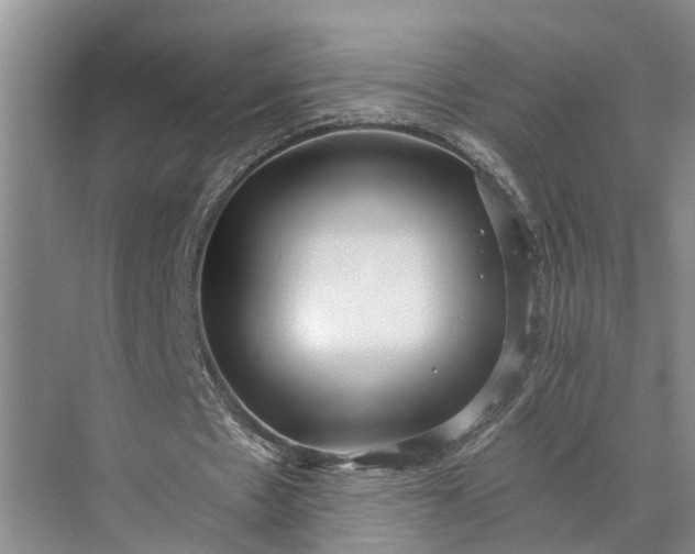 X0000073490481200608140846