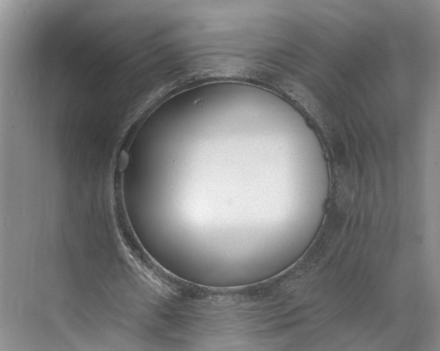 X0000073490482200608140846