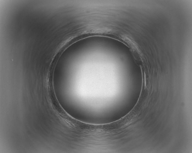 X0000073490483200608140846