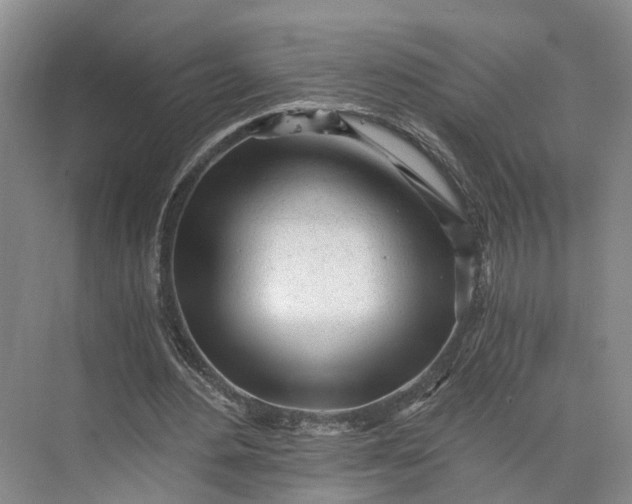 X0000073490484200608140846