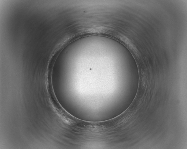 X0000073490486200608140846