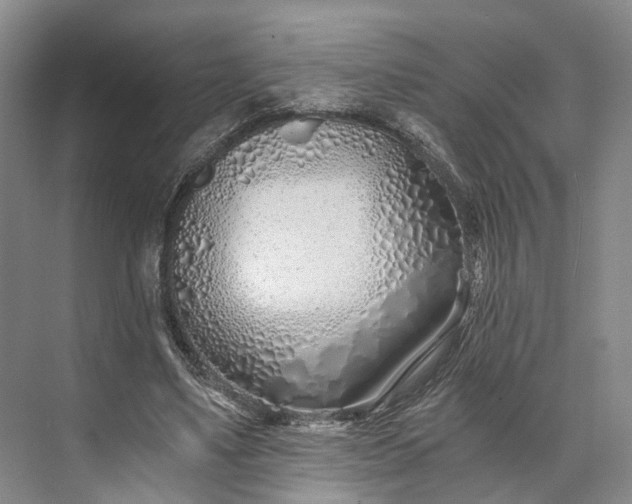 X0000073490491200608140846