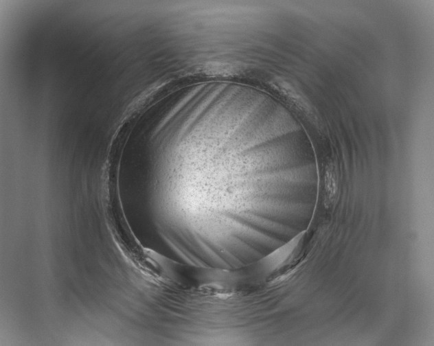 X0000073490492200608140846