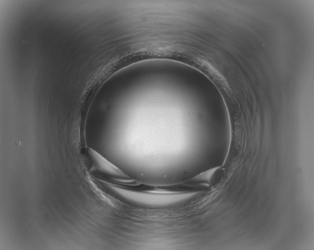 X0000073490493200608140846