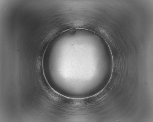 X0000073490495200608140846