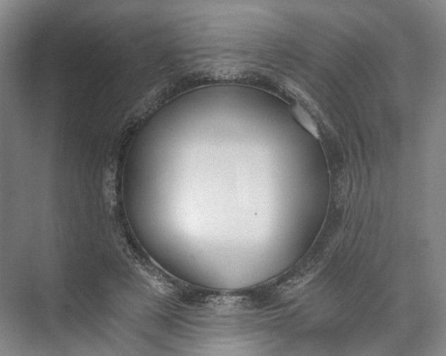 X0000073490497200608140846