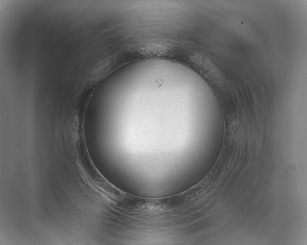 X0000073490498200608140846