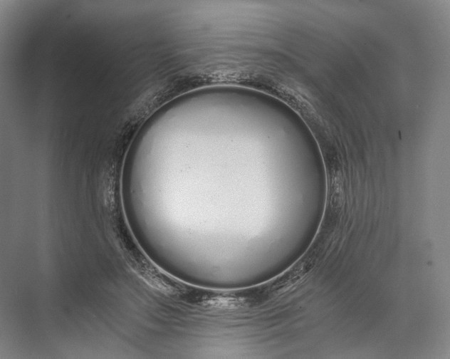 X0000073490499200608140846