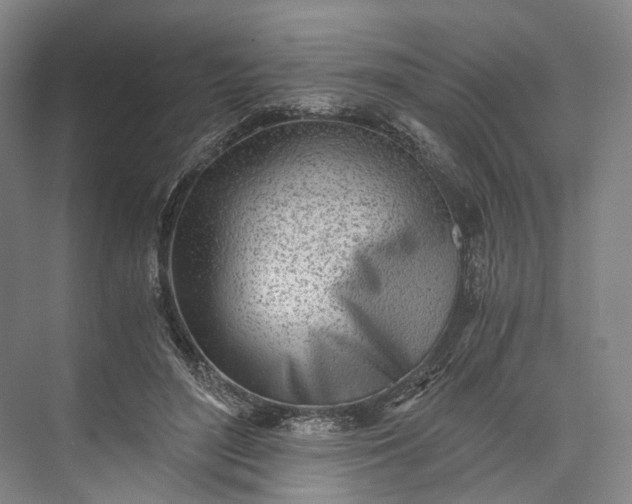 X0000073490500200608140846