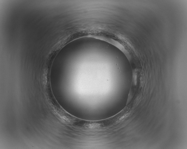 X0000073490501200608140846