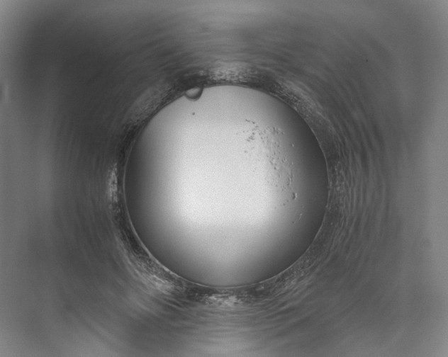 X0000073490502200608140846