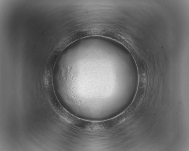 X0000073490503200608140846