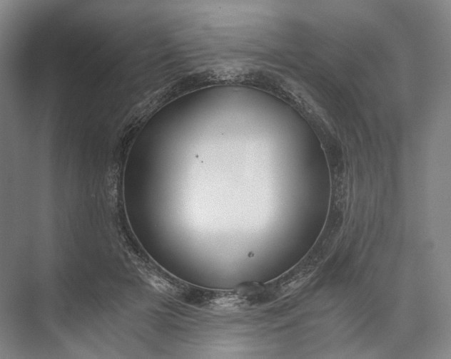 X0000073490505200608140846