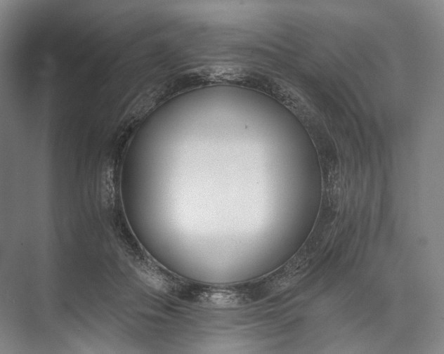 X0000073490506200608140846