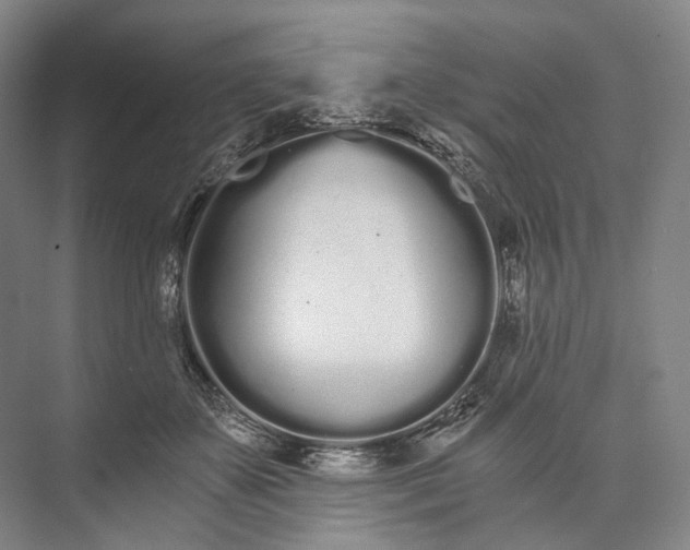 X0000073490507200608140846