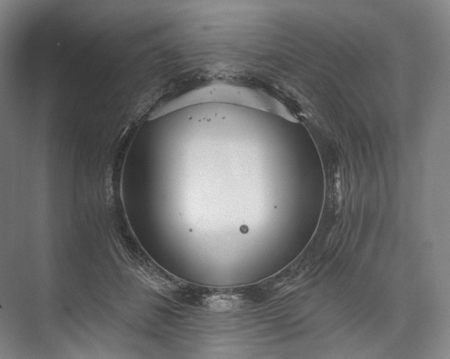 X0000073490508200608140846