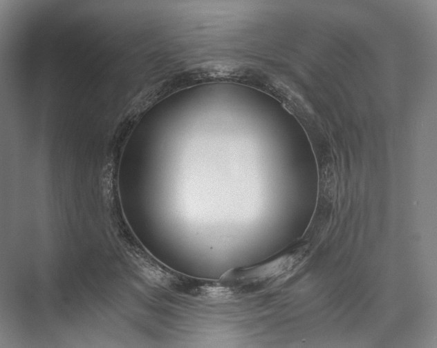 X0000073490509200608140846