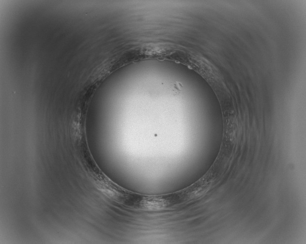 X0000073490510200608140845