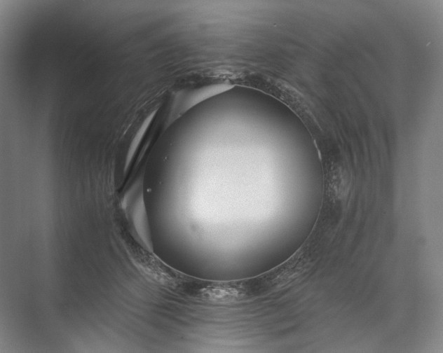 X0000073490512200608140845