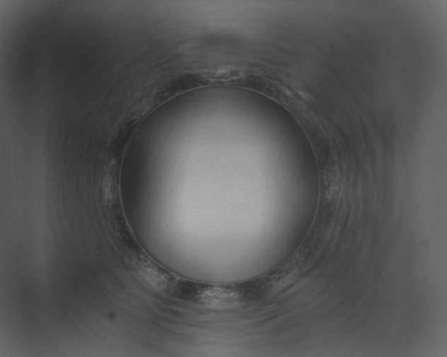 X0000073490515200608140845