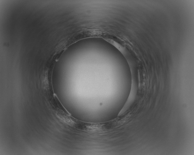 X0000073490516200608140845