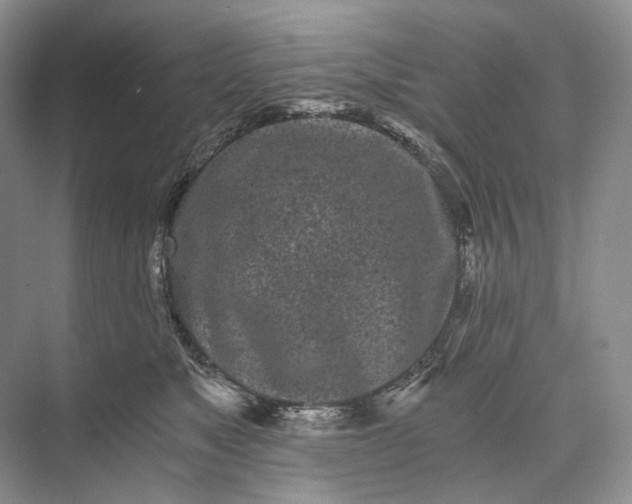 X0000073490517200608140845