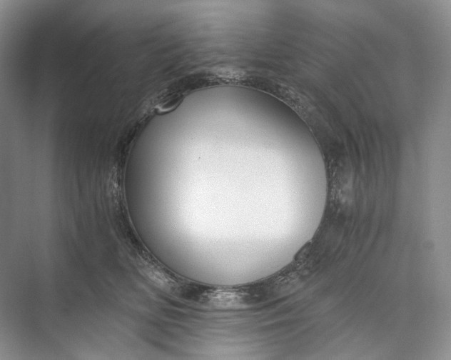 X0000073490518200608140845