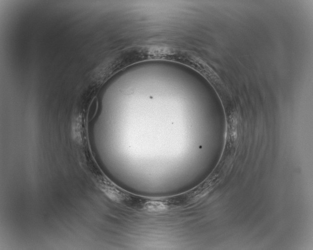 X0000073490519200608140845