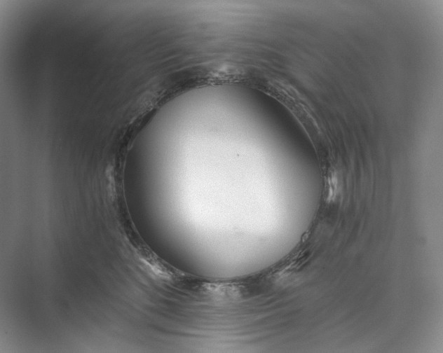 X0000073490520200608140845