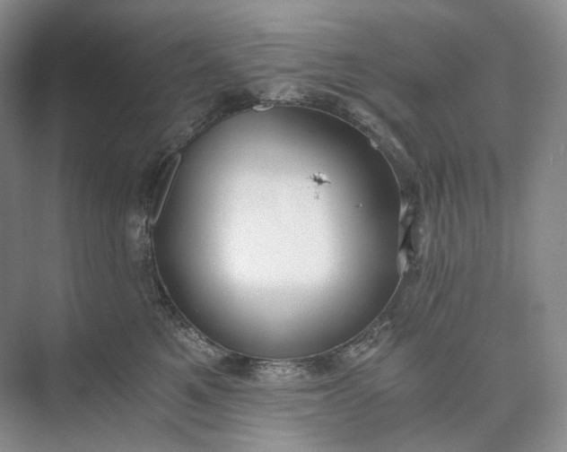 X0000073490521200608140845